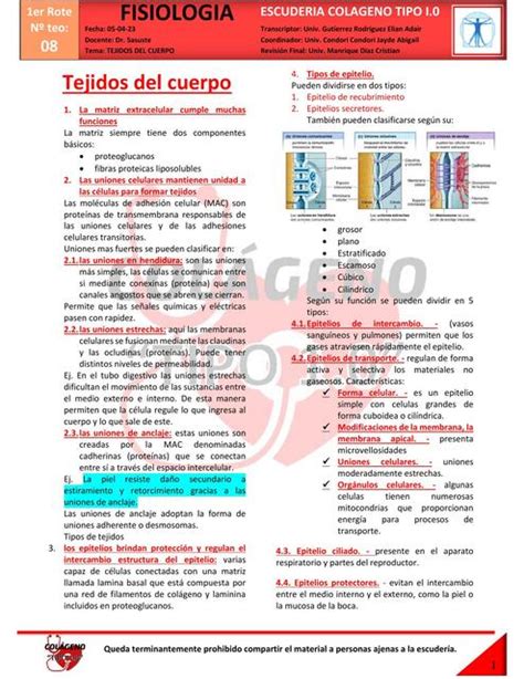 Tejidos Del Cuerpo Lu Udocz