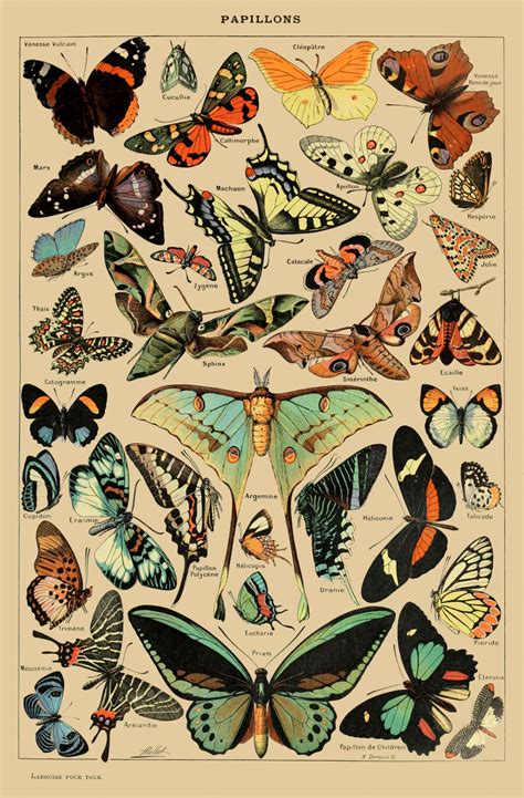 printable vintage art 2
