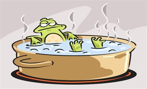 boiling frog analogy  life  times  ben weinberg
