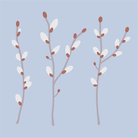 Pussy Willow Branches Art