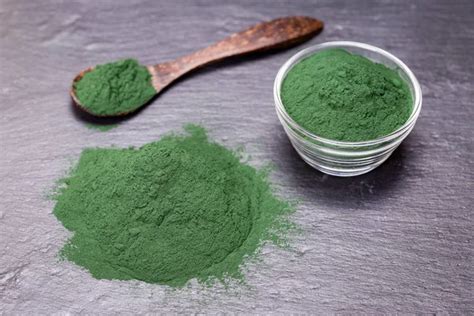 algae powder images search images  everypixel