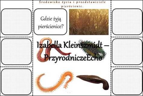 Notatka Okienkowastacja Zadaniowenotatka Interaktywnanotatka Graficznakarta Pracy