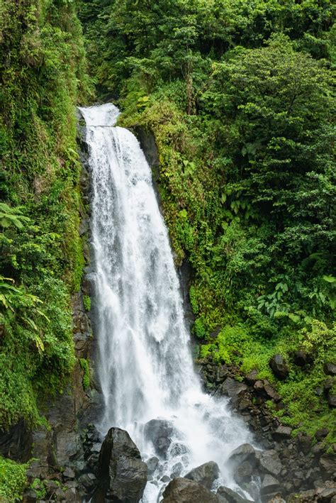 15 Stunning Caribbean Waterfalls to Visit | Celebrity Cruises