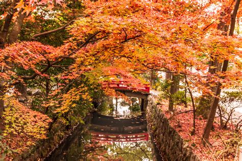 Autumn in Japan: Best Places to Visit During Fall in Japan - MACHIYA