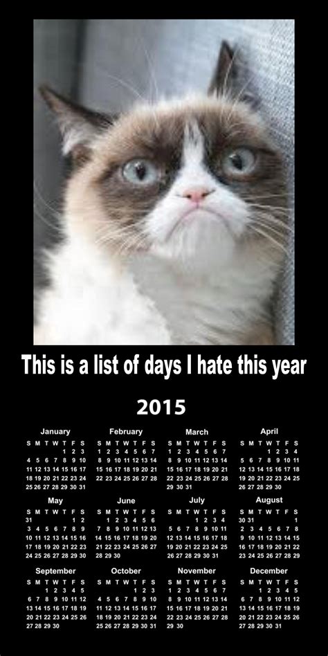 Grumpy Calendar 2015 | Grumpy Cat | Know Your Meme