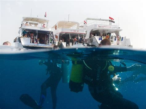 Diving The Red Sea Sharm El Sheikh 2010 Red Sea Sharm El Sheikh Diving