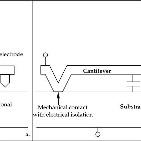 a. Schematic of AFM cantilever; b. Schematic of ideal cantilever... | Download Scientific Diagram