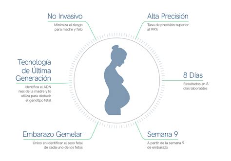 Test Prenatal No Invasivo Tpni Laboratorio De An Lisis Echevarne