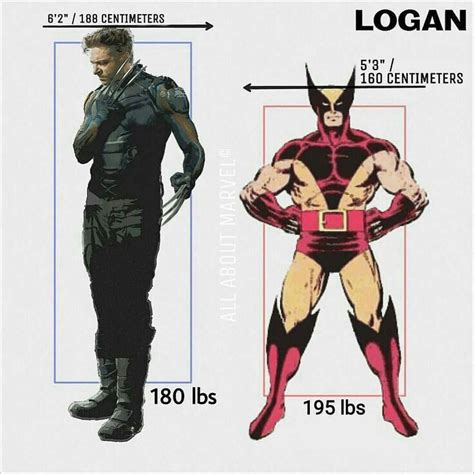 Comic Book Wolverine Height - Drawing
