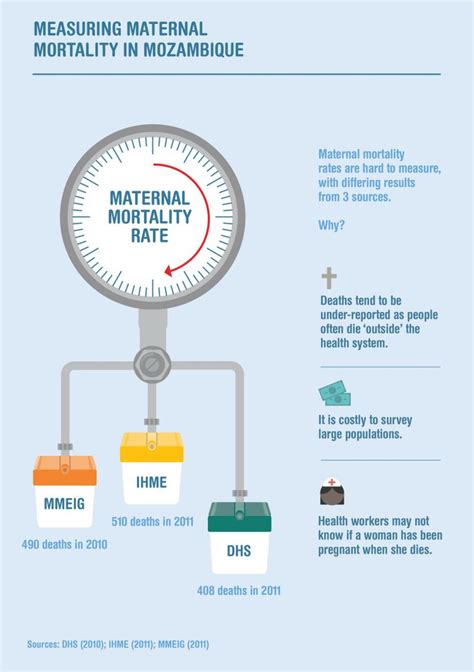 Measuring maternal mortality in Mozambique | Visual.ly | Newborn health
