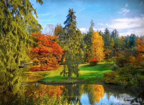 Bunte Fall Landschaft Reflexion Am See Landschaftssonnenuntergang