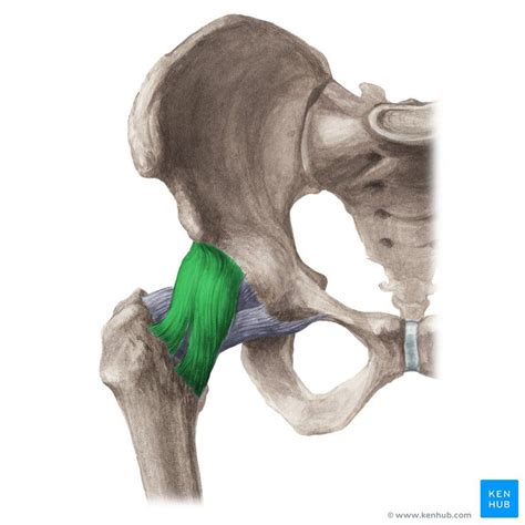 Pin on !!!!! Medical Science Illustrated