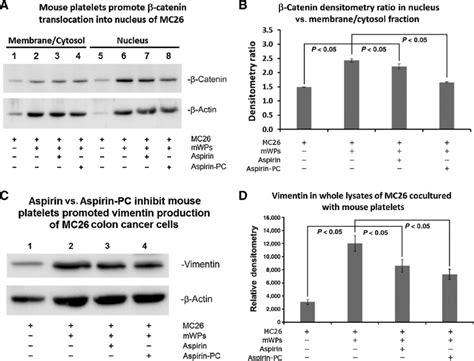 The effect of aspirin and Aspirin-PC to reverse platelet-induced EMT ...