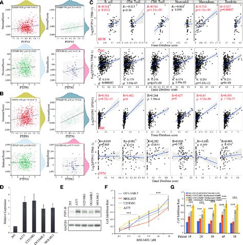 PTP1B, immune infiltration and CSCs index in cancers. (A, B) The ...