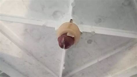 Cum In Public Gay Amateur Porn Feat MrBarbas26 XHamster