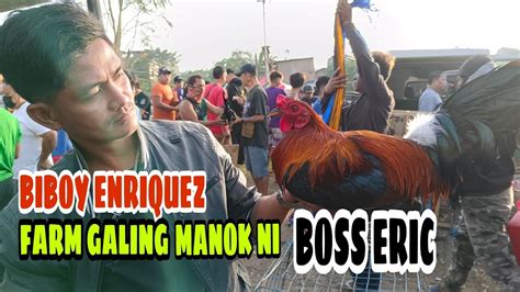 Biboy Enriquez Farm Galing Manok Ni Boss Eric Kaya Naubos Agad Youtube