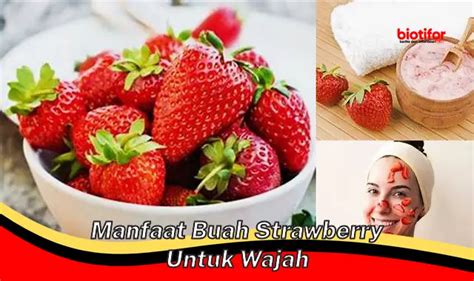 Temukan 5 Manfaat Buah Stroberi Untuk Wajah Yang Jarang Diketahui Biotifor