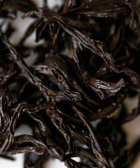 Lapsang Souchong – Cultivate Tea