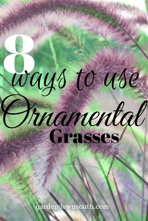 Ornamental Grass Plants For Landscaping And How To Use Them Garden