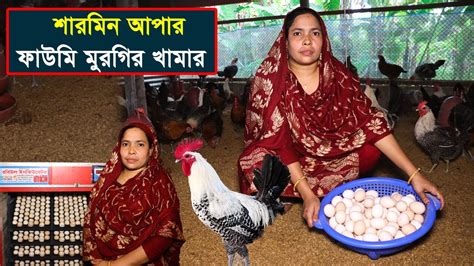 সৌখিন নারী উদ্যোক্তা শারমিন আপার ফাউমি মুরগির খামার।ফাউমি মুরগির খামারে