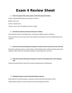 Exam Review Sheet Exam Review Sheet List The Major Components Of