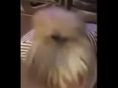 Bhopal Sex Girl With Chat Call Me 9914032849 Call Girls Sex Hotel Room Sex XVIDEOS