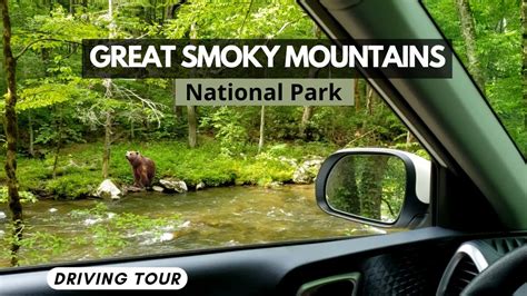 Great Smoky Mountains National Park Scenic Driving Tour In Tennessee