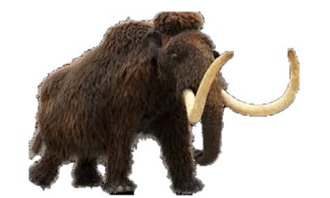 Woolly Mammoth Prehistoric Dinosaurs Wiki Fandom