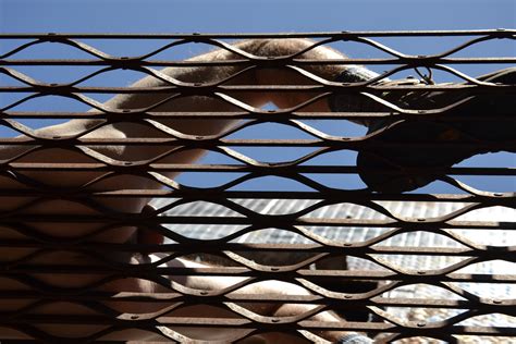 Boots And Ass R Artgw