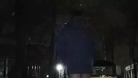 Free Shemale Park Porn Videos XHamster