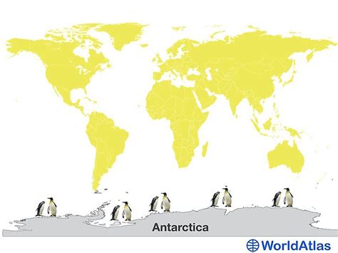 Emperor Penguin Facts | Emperor penguin facts, Penguin facts, Emperor