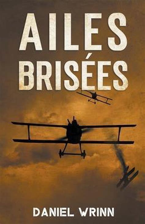 La Grande Guerre S Rie Ailes Bris Es Daniel Wrinn