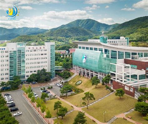 Du Học Hàn Quốc Du Học Seiko