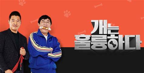 Kbs 개는 훌륭하다 20일 돌연 결방강형욱 갑질 논란 여파