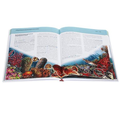 Подводный мир полная энциклопедия Энциклопедия Школьник Юлия 0 ...
