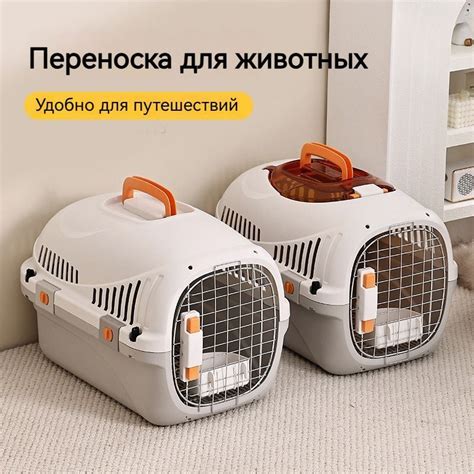 Переноска купить на OZON по низкой цене (1980061248)