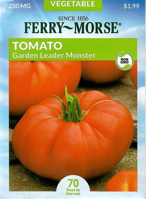 Tomato Garden Leader Monster Vegetable Seeds Non Gmo