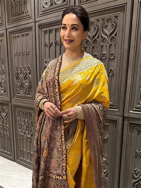 madhuri dixit radiates sunshine  yellow  golden bordered saree