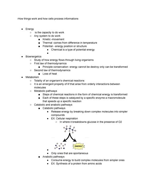 Energy Transformations By Cells How Things Work And How Cells Process Informations Energy Is