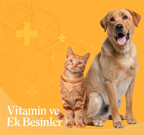 Vitamin ve Ek Besinler – Mama Vet