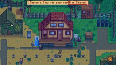 Stardew Valley Blue Chicken Guide