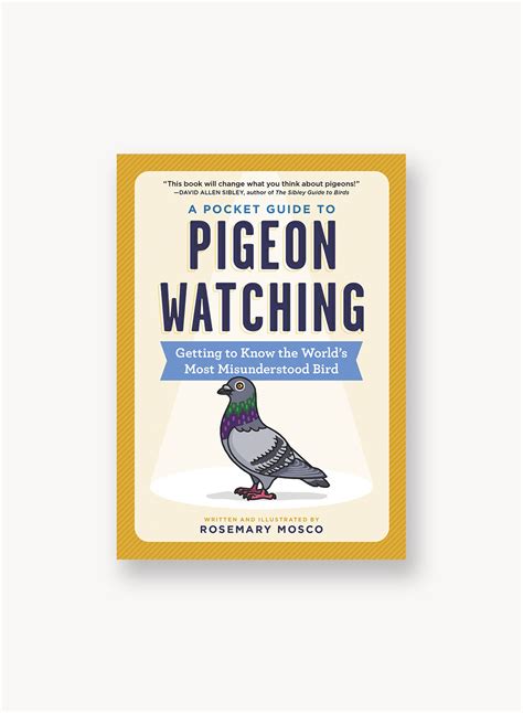 A Pocket Guide To Pigeon Watching Getting To Know The Worlds Most Mi