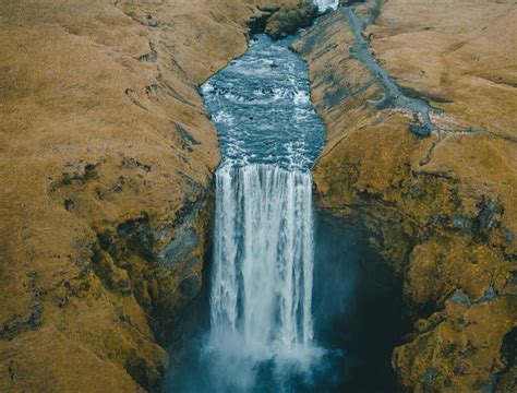 What Is Sex Reassignment Surgery Srs Risks Of Srs