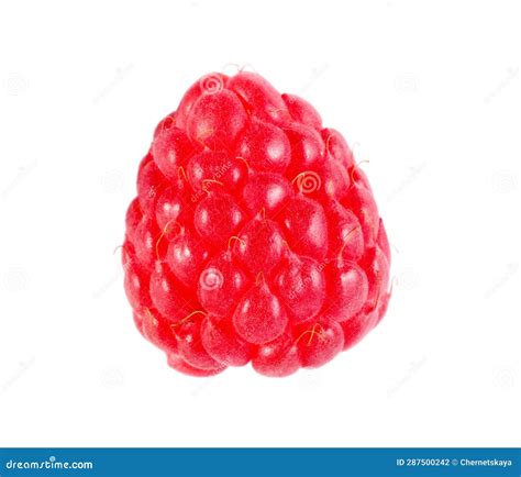 One Tasty Ripe Raspberry Isolated On White Stock Photo Image Of