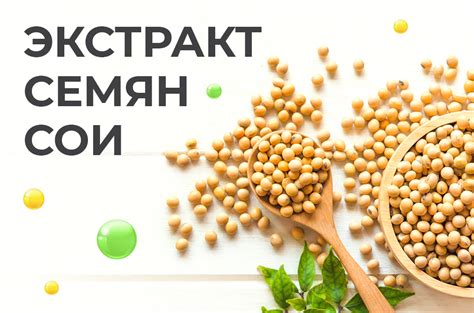 Экстракт семян сои: что это такое, и для чего организму нужно? - Consumed