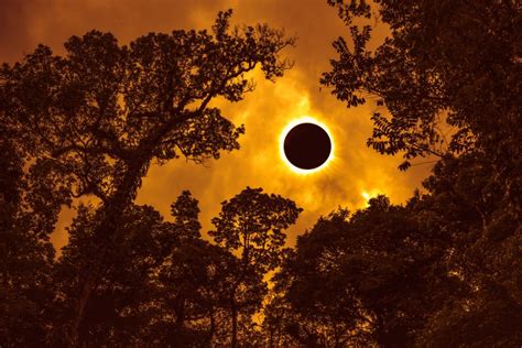 Superluna De Sangre De Lobo El Segundo Gran Eclipse De Enero Buena Vibra