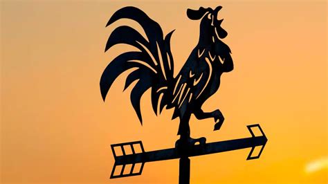 Exploring The Roosters Symbolism In Chinese Culture