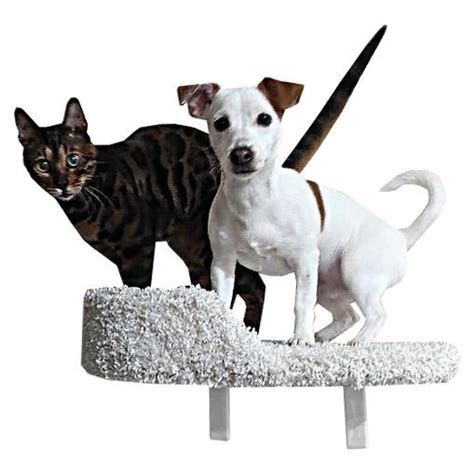 Лежанка для кошек, Моя Котя, настенная левая купить на OZON по низкой ...