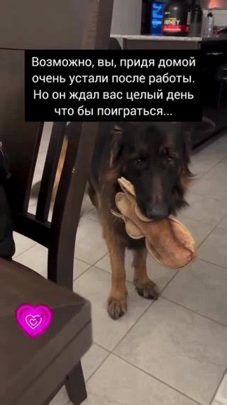 Клипы Pro хвостики