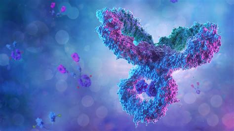 Selecting Chromatography Resins for Antibody Purification | Bio-Rad 
